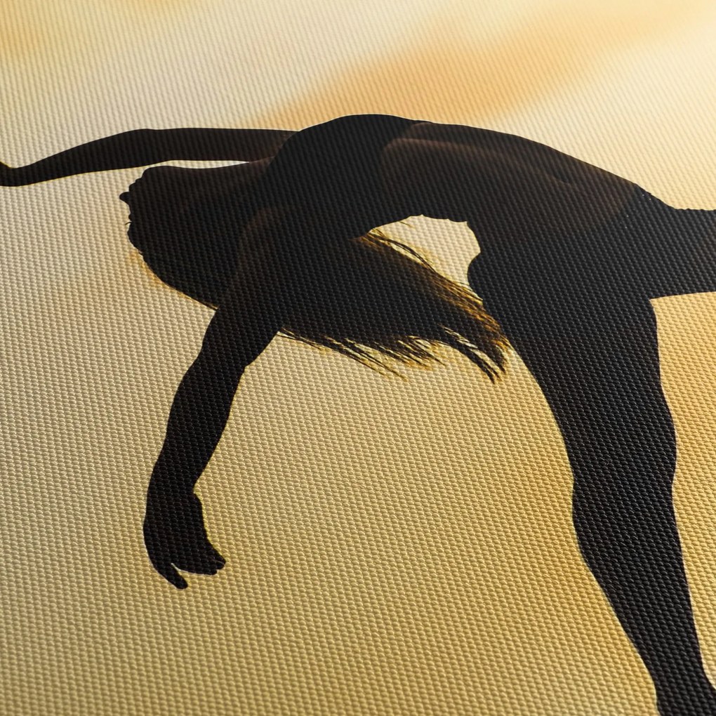 Obraz tanečnice (150x105 cm)