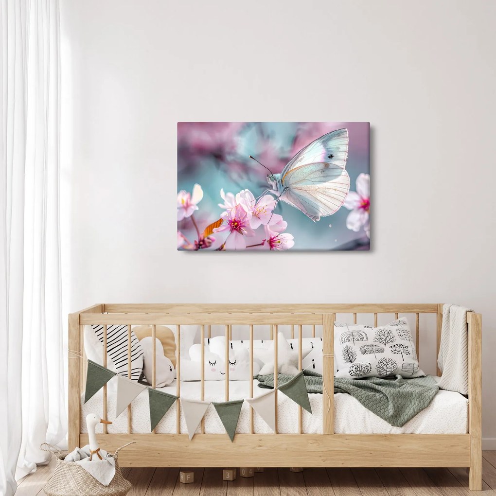 Obraz - Motýľ na čerešni (90x60 cm)