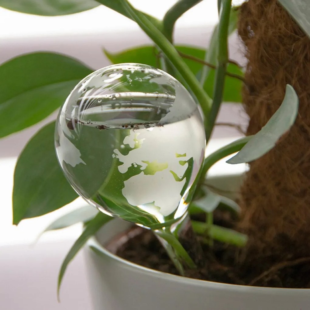 Zavlažovacia guľa Globe, 20x6,5 cm, transparentná