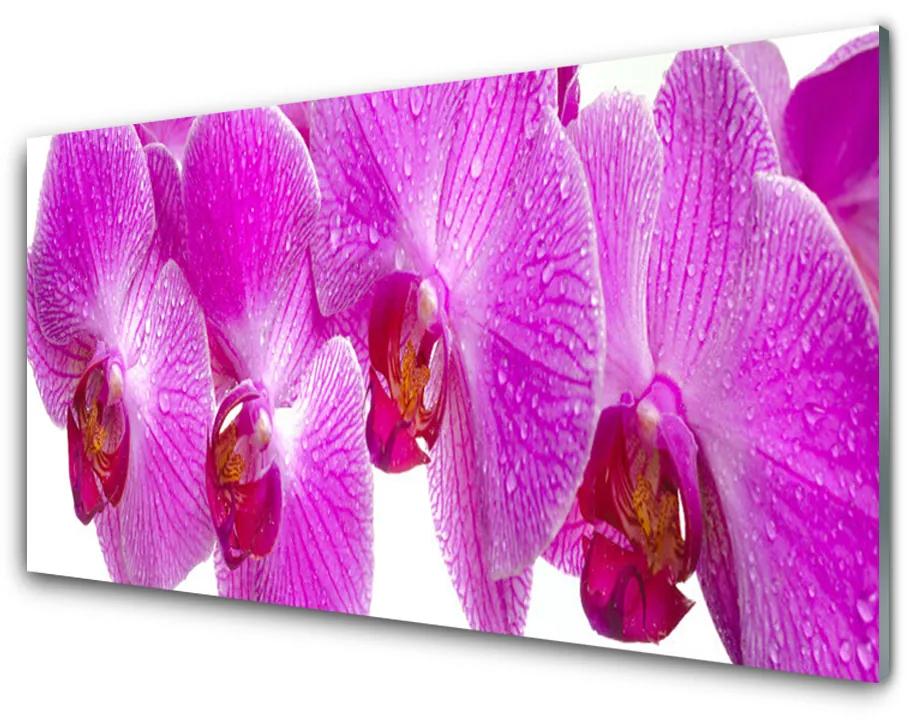 Obraz na skle Kvety rastlina príroda 100x50cm