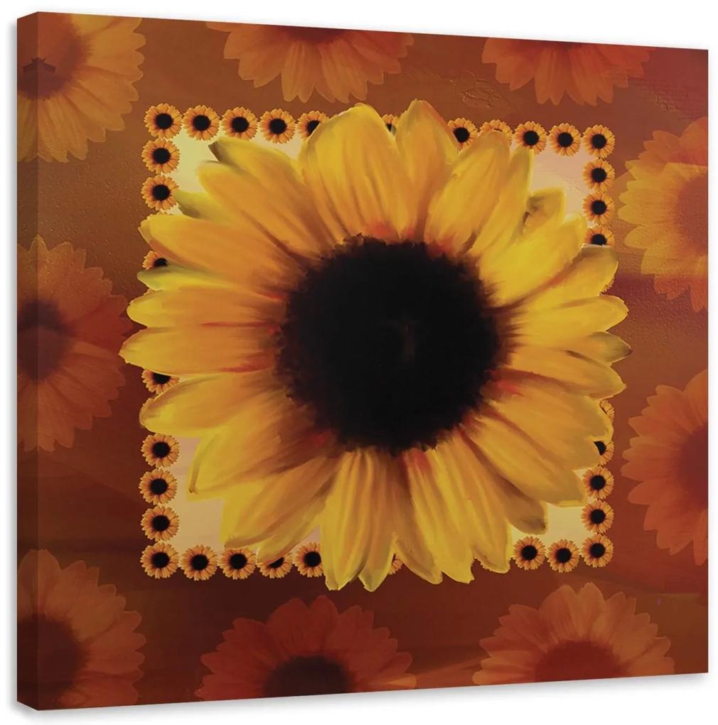 Obraz na plátně Příroda slunečnic - 40x40 cm