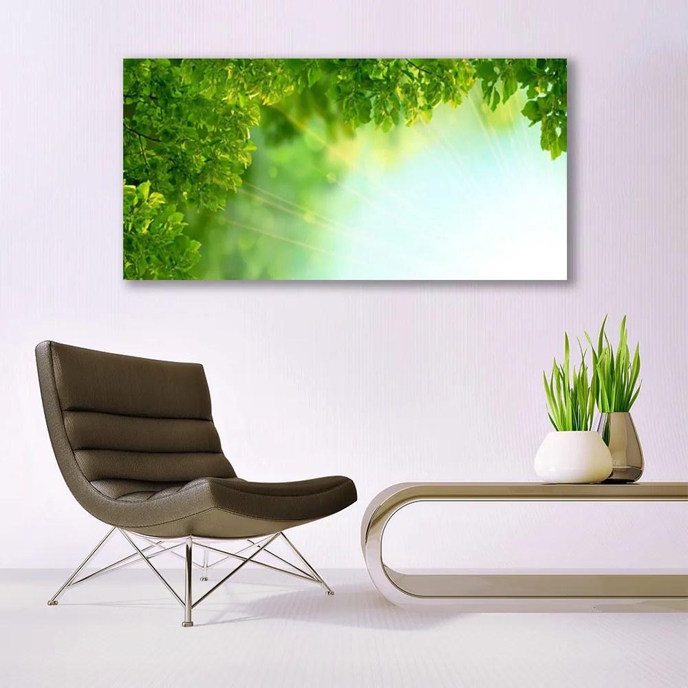 Obraz plexi Listy príroda rastlina 120x60 cm