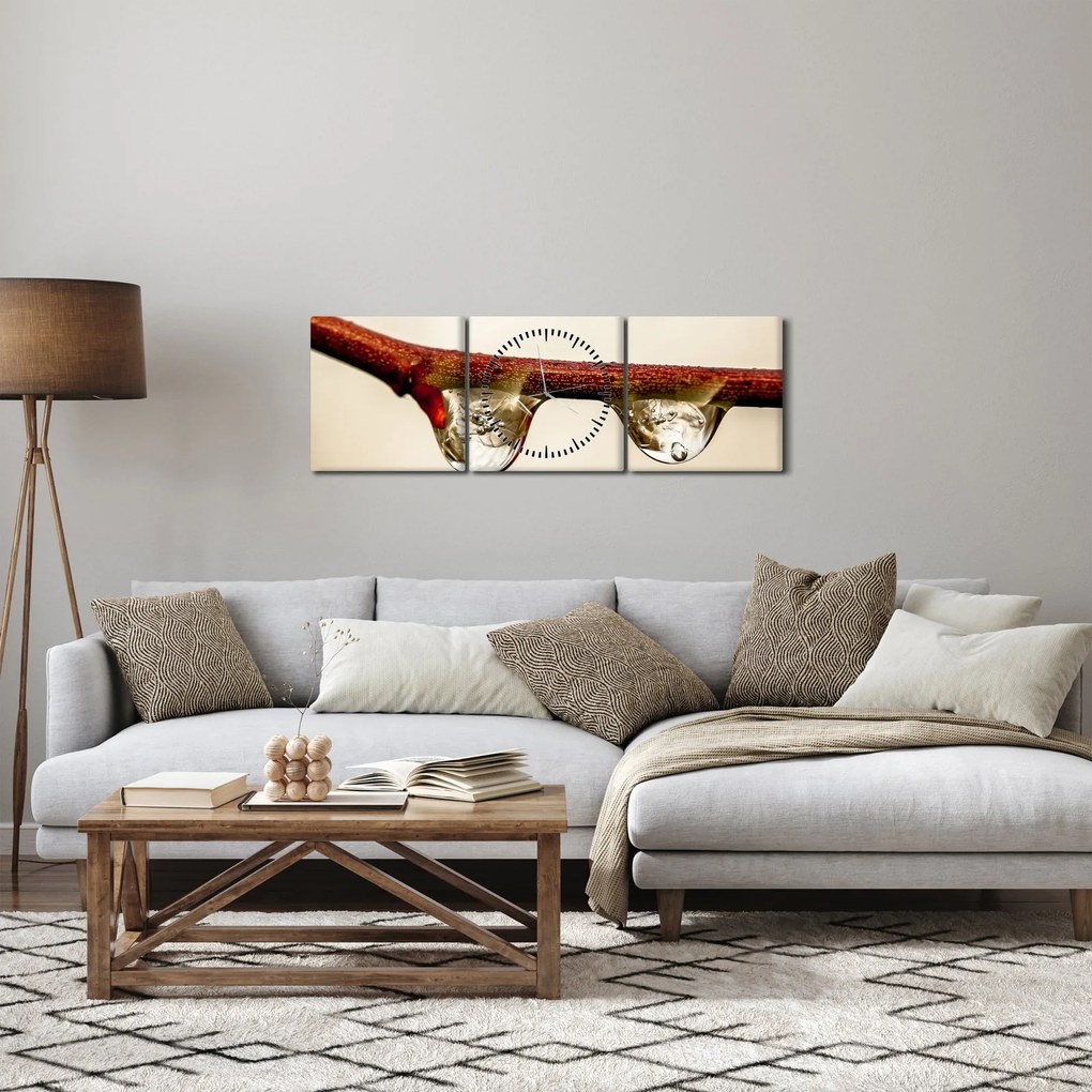 Obraz kvapiek na vetve (s hodinami) (90x30 cm)
