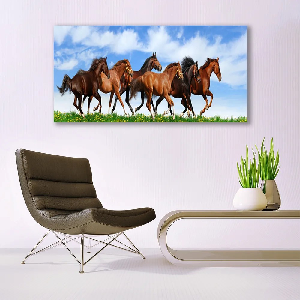 Obraz plexi Cválajúci kone na pastvine 120x60 cm