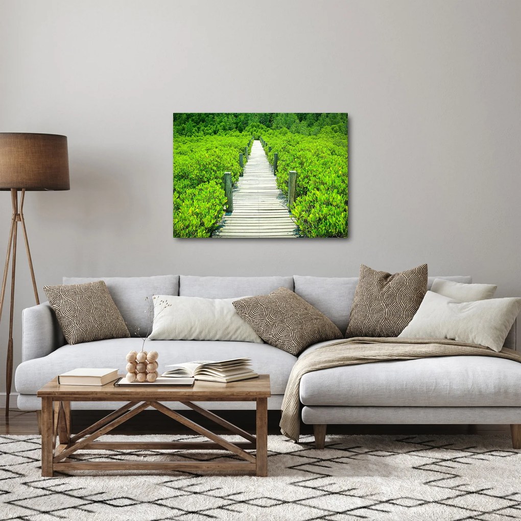 Obraz - drevený chodník (70x50 cm)