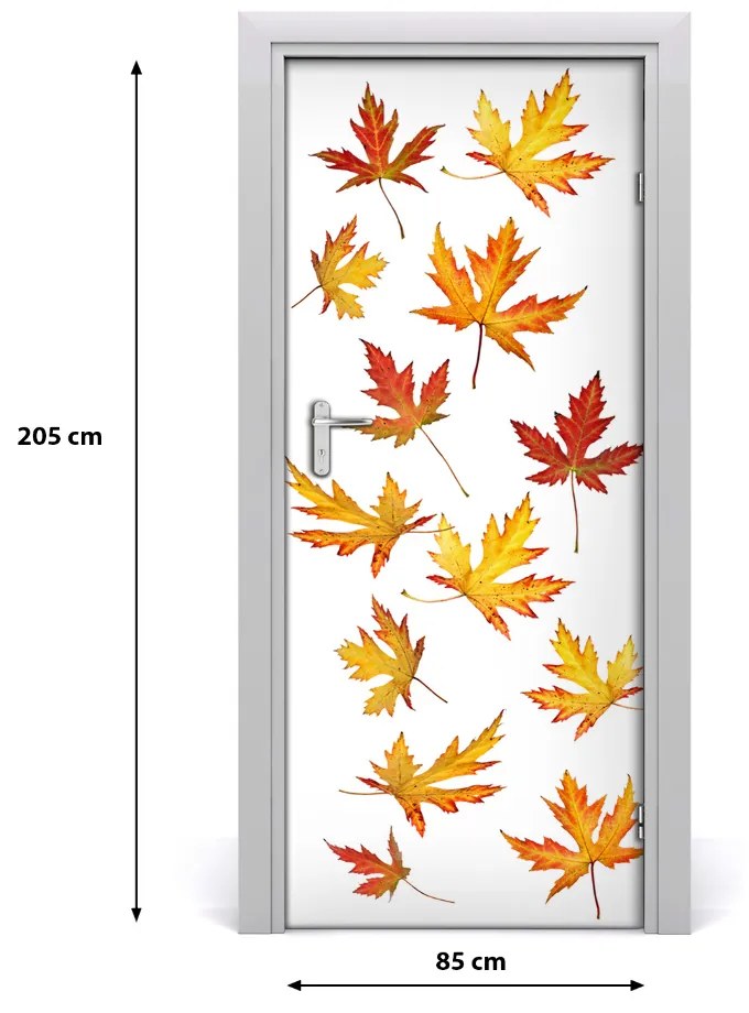 Fototapeta na dvere jesenné kvety 85x205 cm