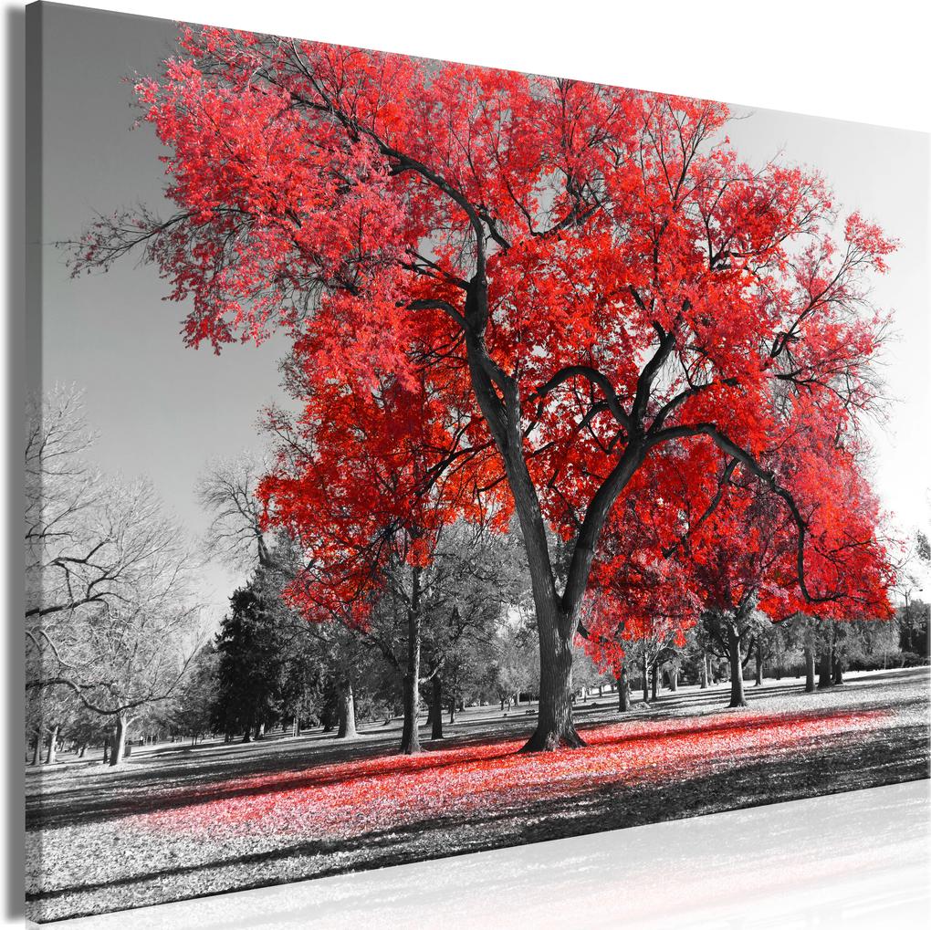 Obraz - Autumn in the Park (1 Part) Wide Red 120x80