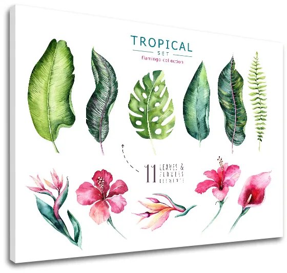 Obraz na stenu s textom Tropical set flamingo | rôzne rozmery
