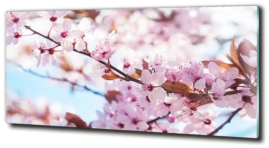 Fotoobraz na skle Kvety višne cz-obglass-125x50-82072016