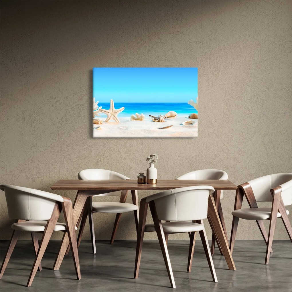 Obraz - Zátišie s mušľami (90x60 cm)