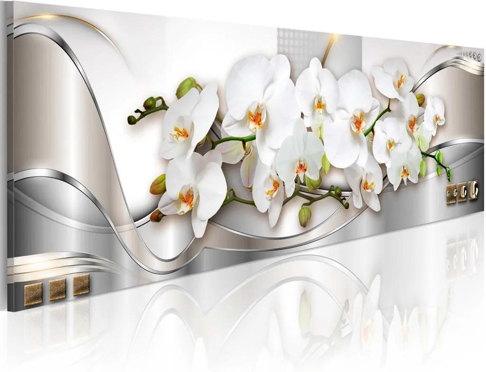 Obraz - Orchids II 150x50