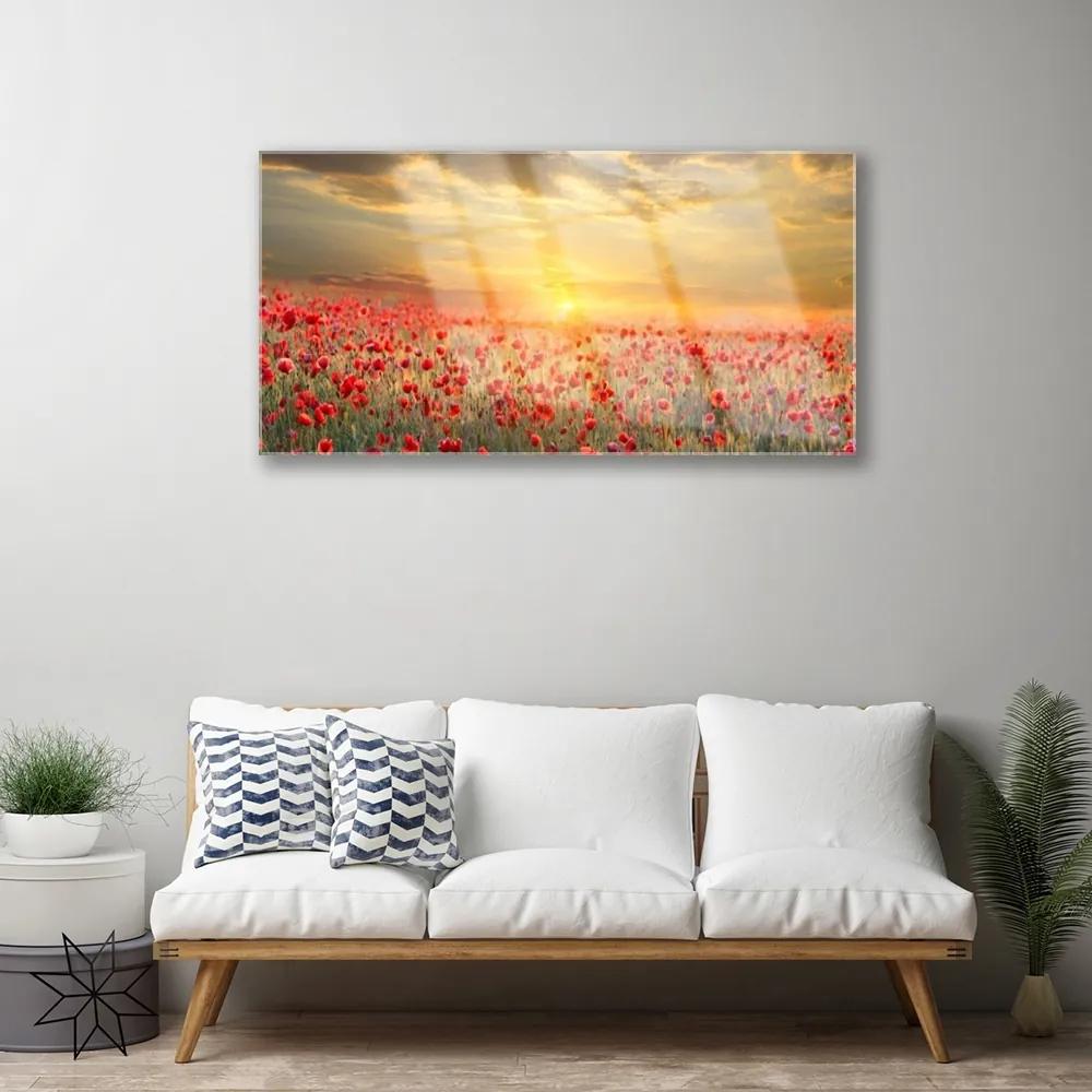 Skleneny obraz Slnko lúka mak kvety 140x70 cm