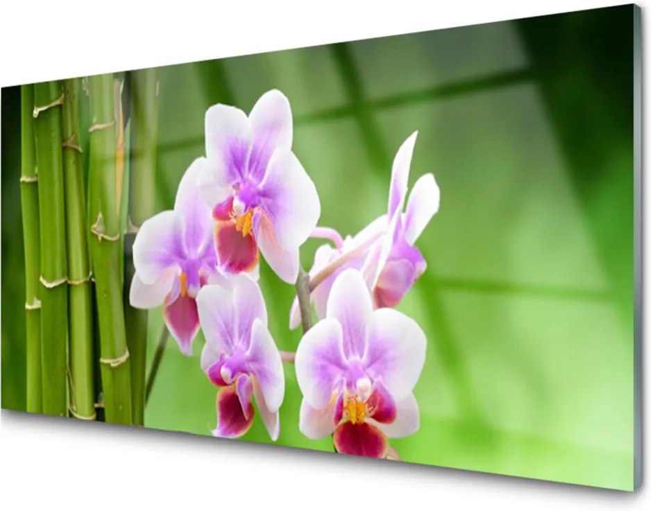 Sklenený obklad Do kuchyne Bambus Orchidea Kvety Zen