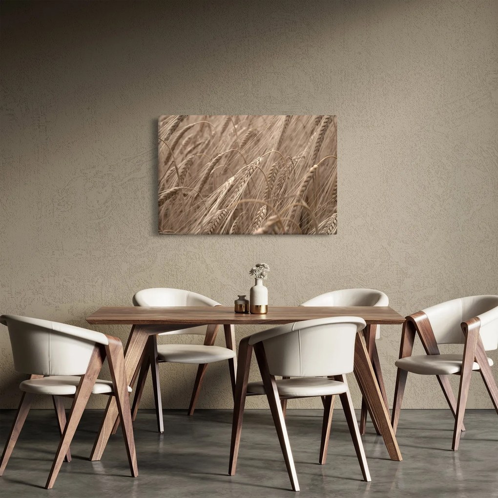 Obraz - Zlaté pole (90x60 cm)