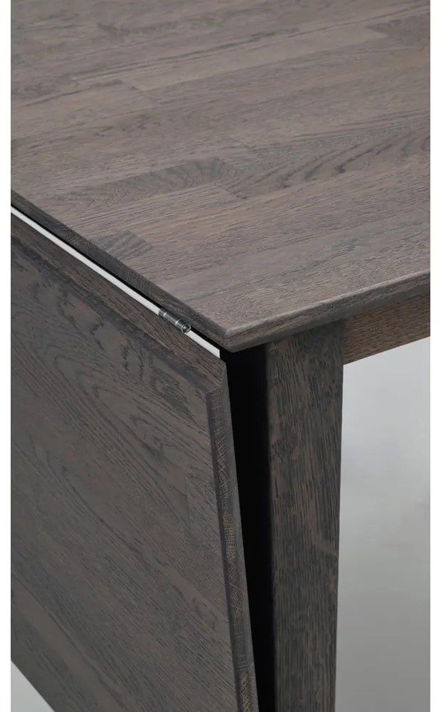 Rozkladací jedálenský stôl z dubového dreva 120x80 cm Filippa - Rowico