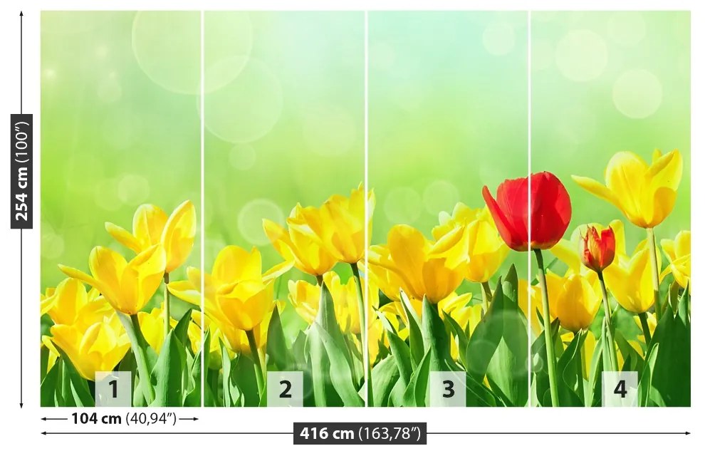 Fototapeta Vliesová Žlté tulipány 250x104 cm