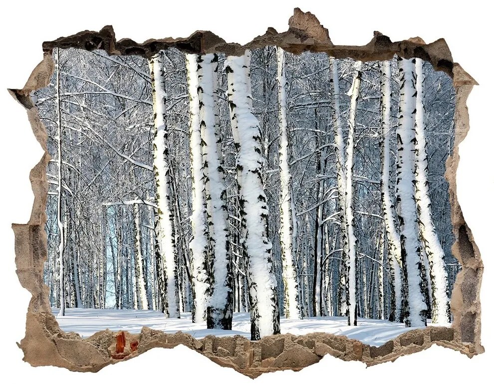 Samolepící díra na stěnu nálepka Les v zime nd-k-61171749