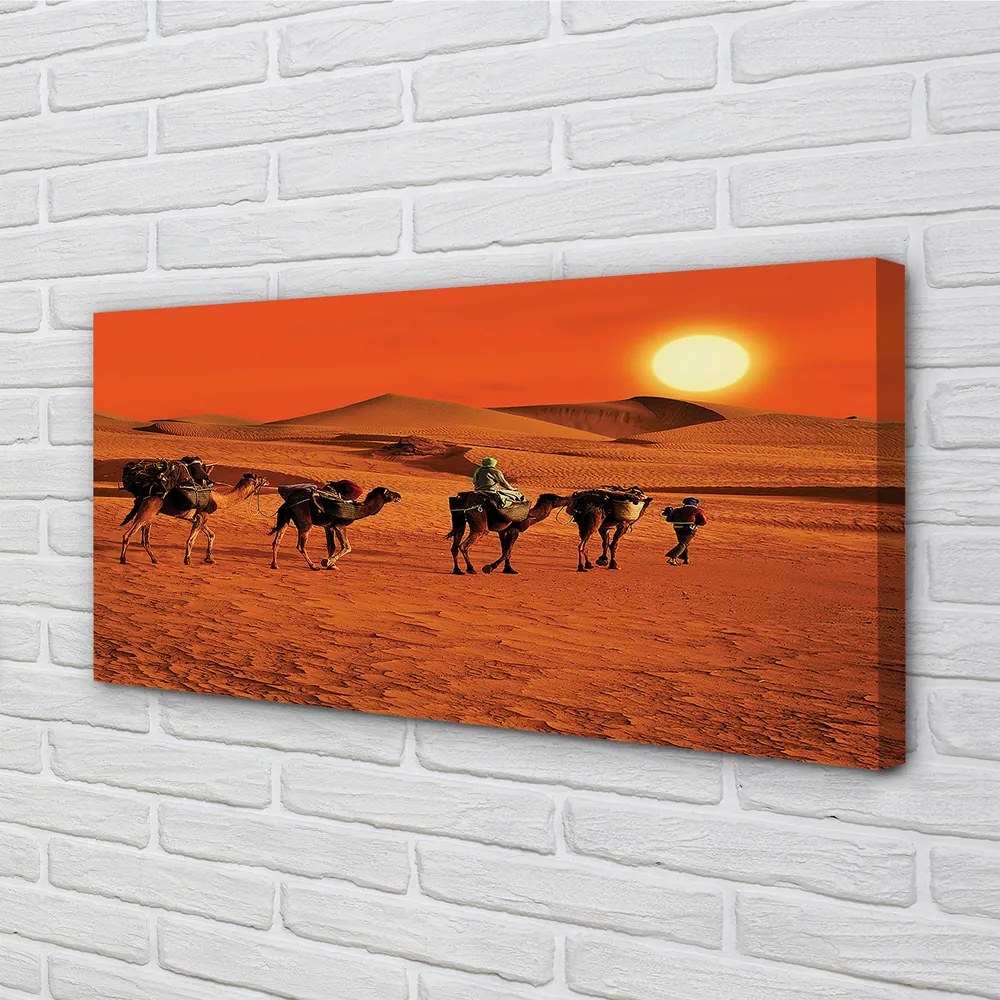 Obraz canvas Ťavy ľudí púštne slnko neba 100x50 cm