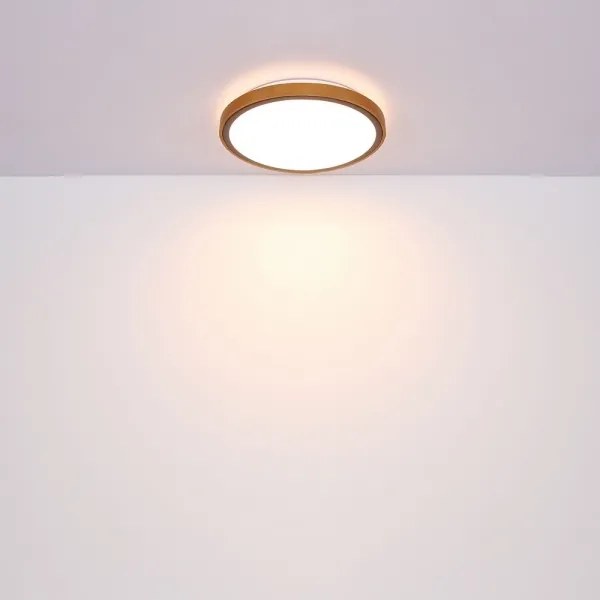 Globo 41764-12 - LED Stropné svietidlo BRUNO LED/12W/230V 307 mm 3000/4500/6000K