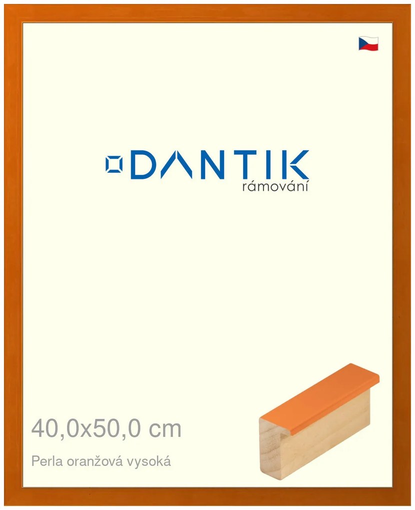 DANTIK rám na obraz 40x50 | PERLA oranžová vysoká (Sklo Čiré)