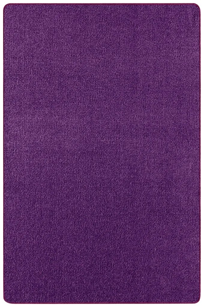 Hanse Home, Kusový koberec Nasty 101150 Purple, 140x200, fialová, chodba / predsieň