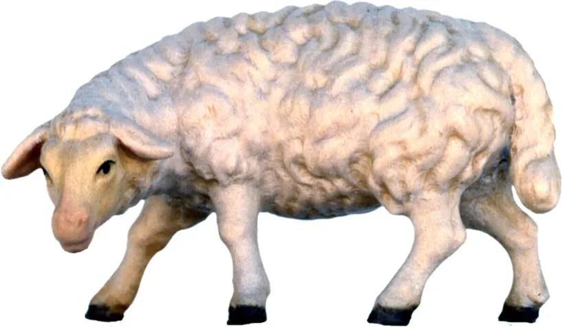 Zvieratá pre Betlehem - Pasúca ovečka