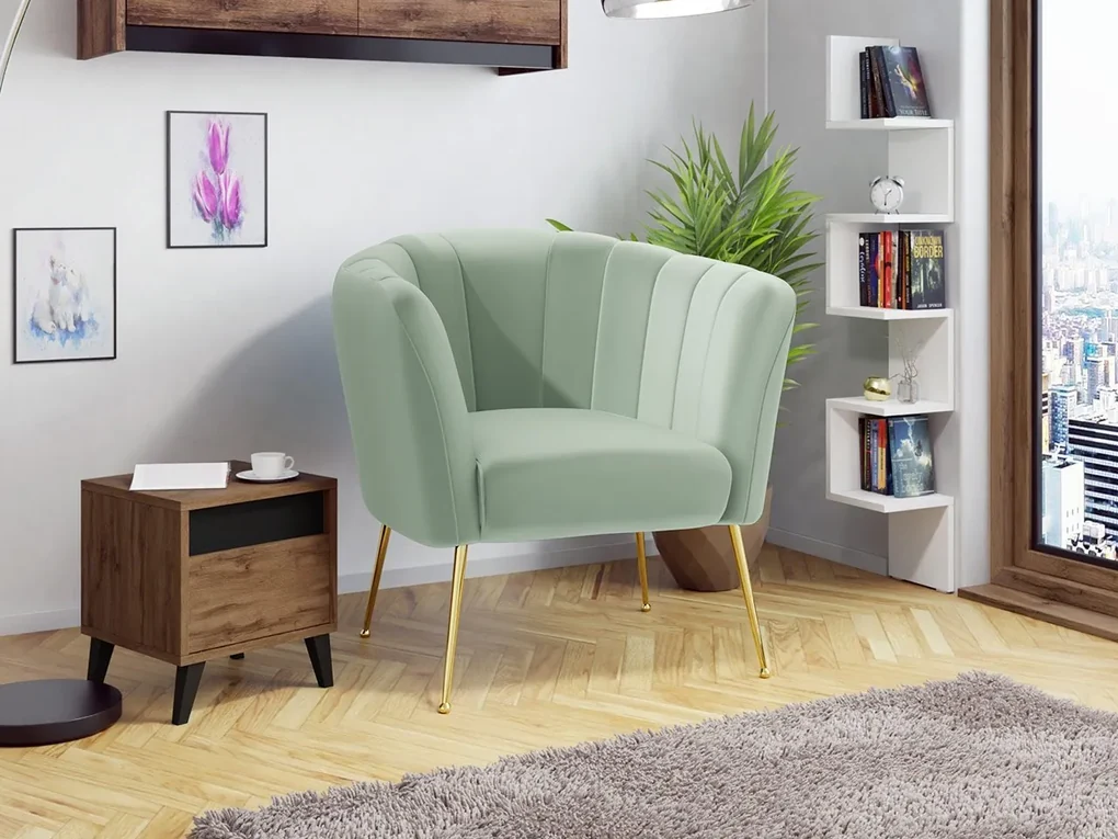 Čalúnené kreslo Rimilo, Dostupné poťahy: Magic Velvet 2216