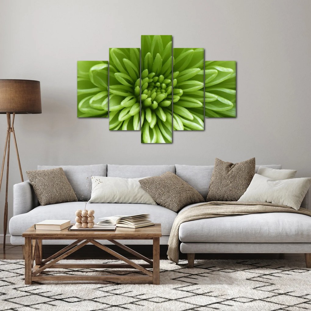 Obraz - Makro snímka rastliny (150x105 cm)