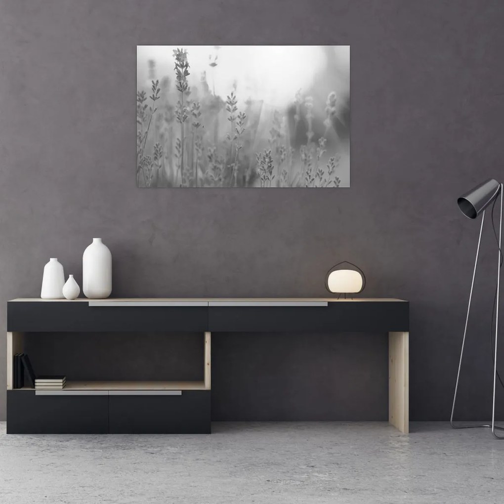 Obraz - Levanduľa (90x60 cm)
