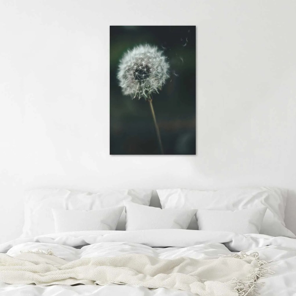 Gario Plagát Púpava vo vetre Farba rámu: Bez rámu, Rozmery: 70 x 100 cm