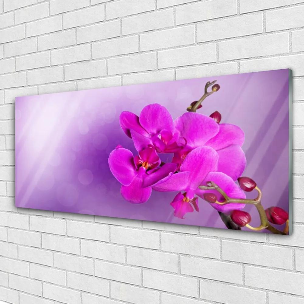 Obraz plexi Kvety plátky orchidea 125x50 cm