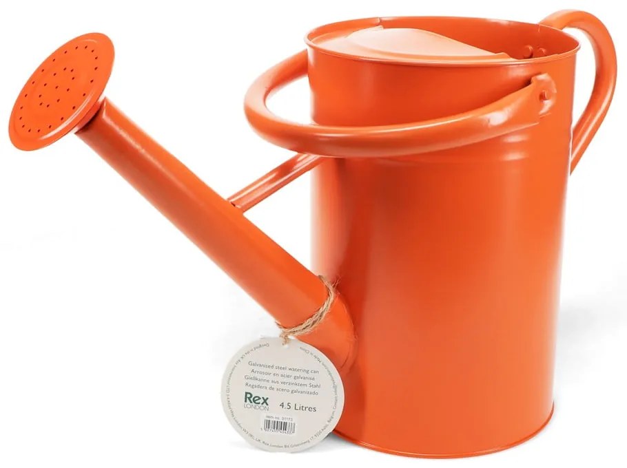 Kovová kanvička na zalievanie 4,5 l – Rex London