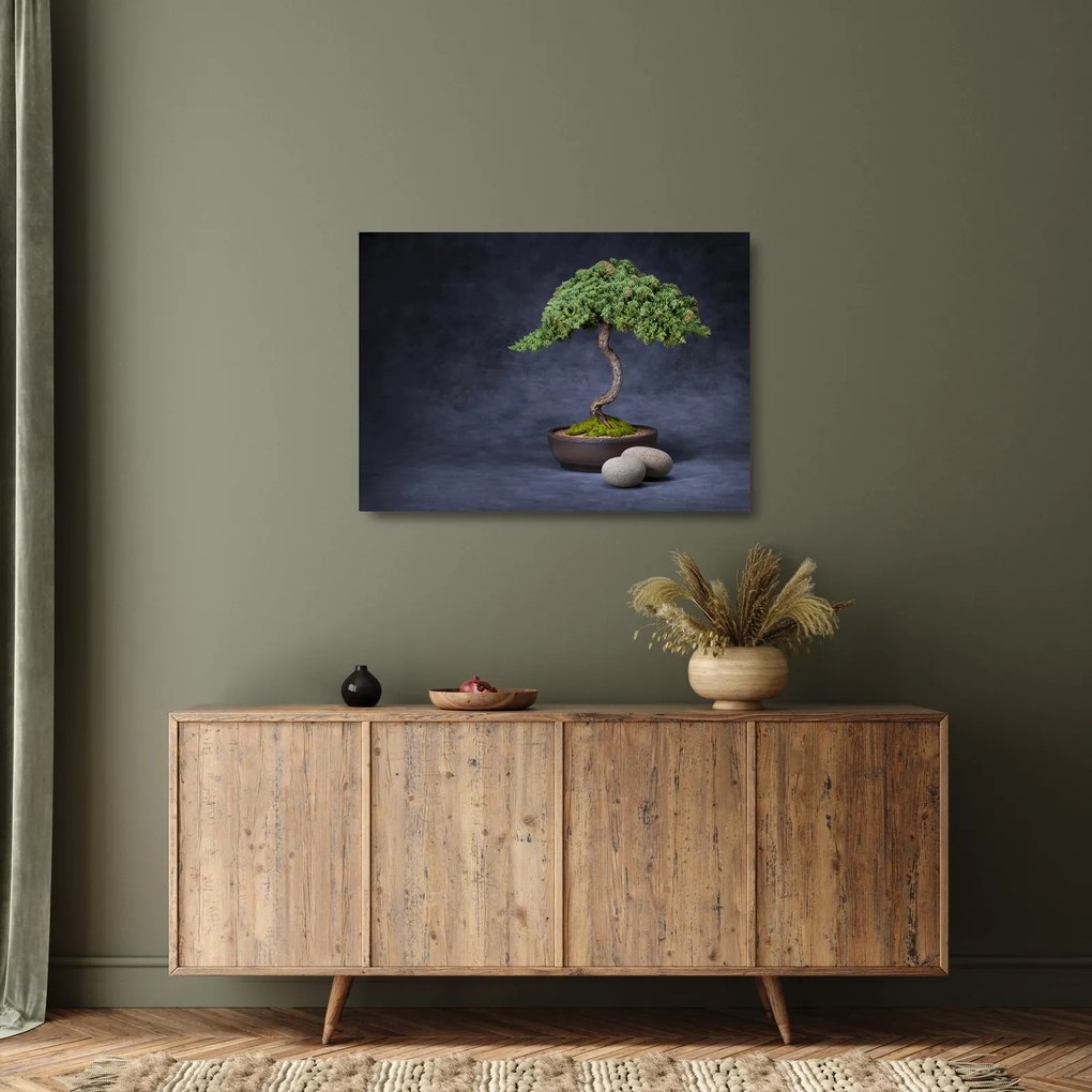 Sklenený obraz - Bonsai (70x50 cm)