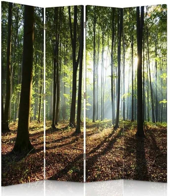 CARO Paraván - The Sun'S Rays In The Forest | štvordielny | obojstranný 145x150 cm