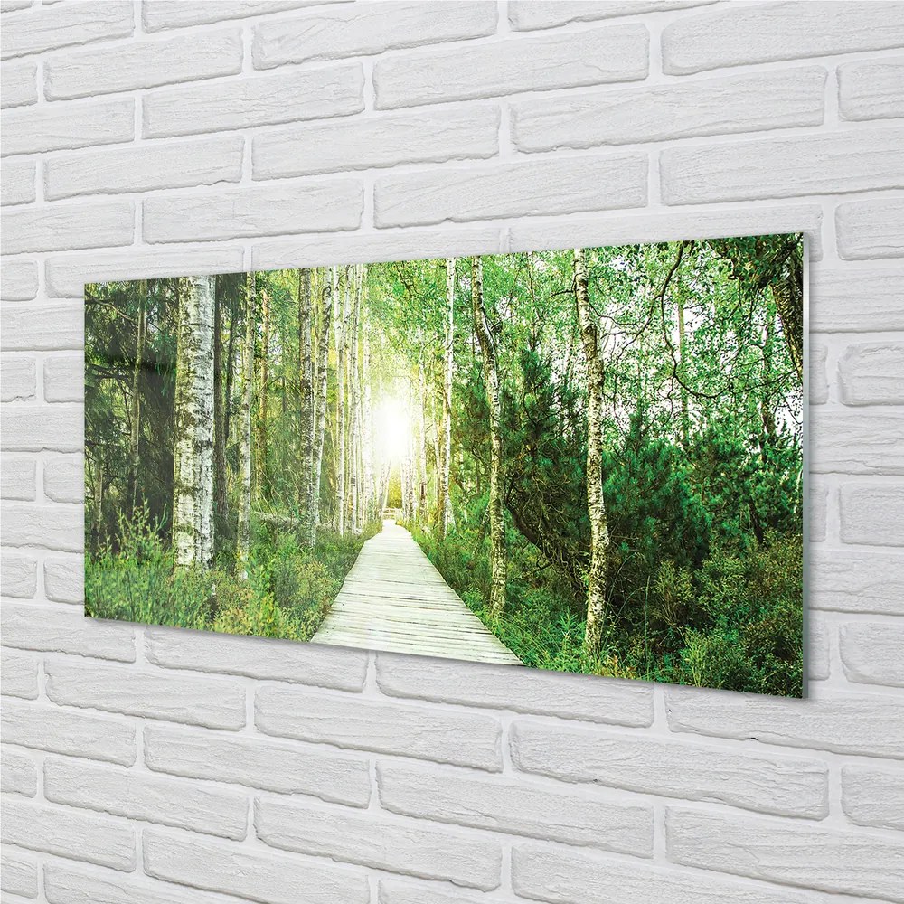 Obraz plexi Breza lesná cesta 125x50 cm