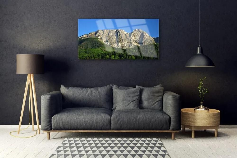 Obraz na skle Hora les príroda 140x70 cm