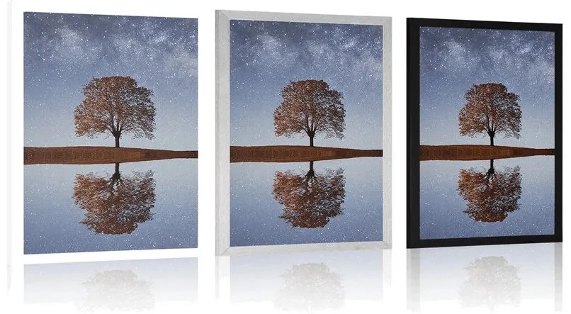 Plagát hviezdna obloha nad osamelým stromom - 60x90 black