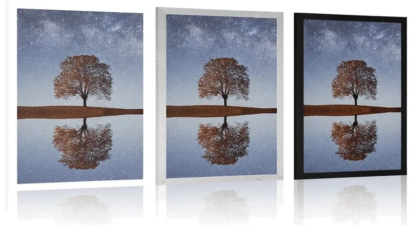Plagát hviezdna obloha nad osamelým stromom - 60x90 silver
