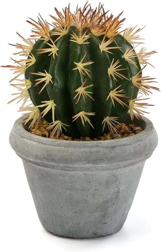 Umelý kaktus v betónovom kvetináči Versa Pot Home