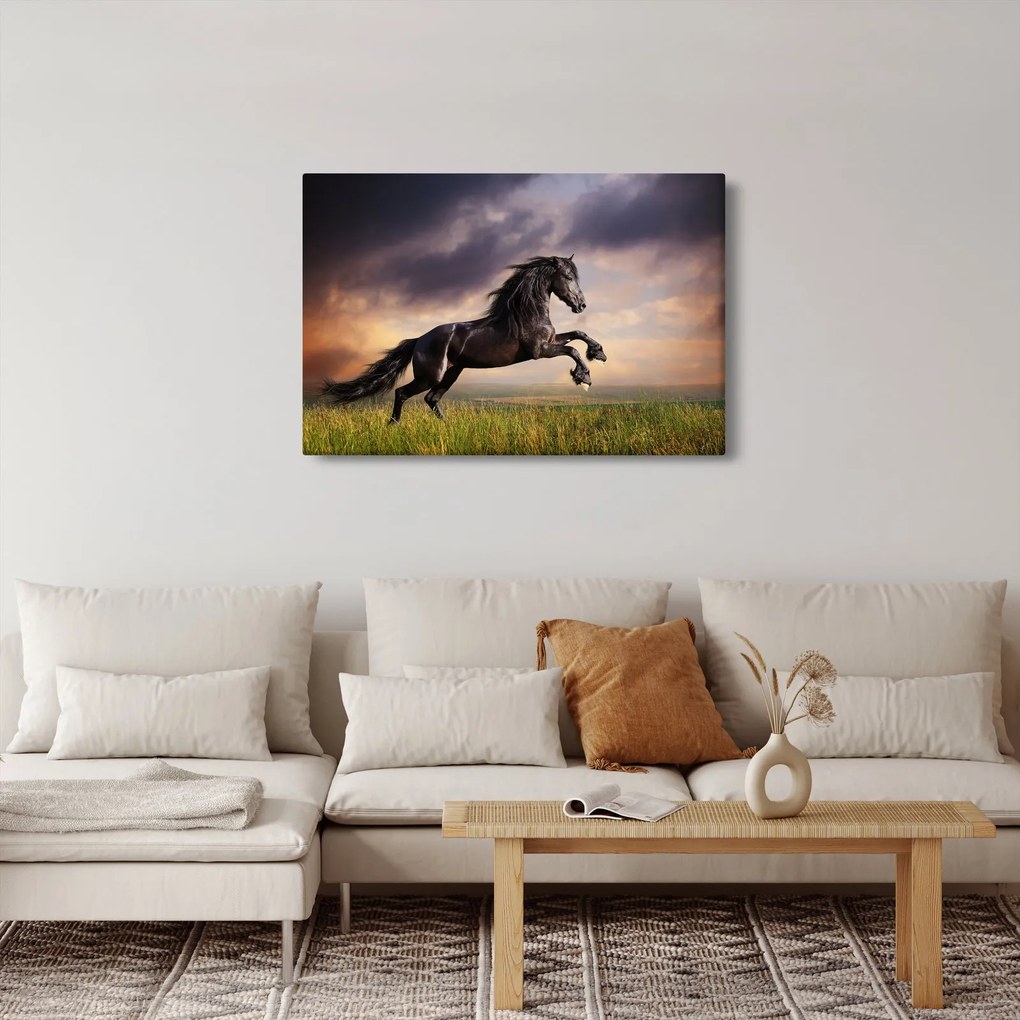 Obraz - Kone (90x60 cm)