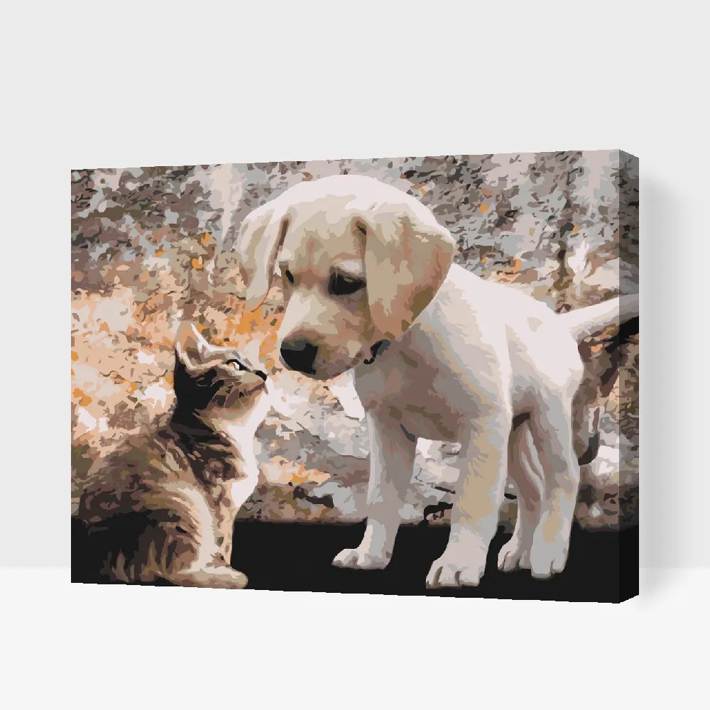 Gario Maľovanie podľa čísel Šteňa a mačiatko Rozmery: 80 x 60 cm, Rámovanie: Iba zrolované plátno