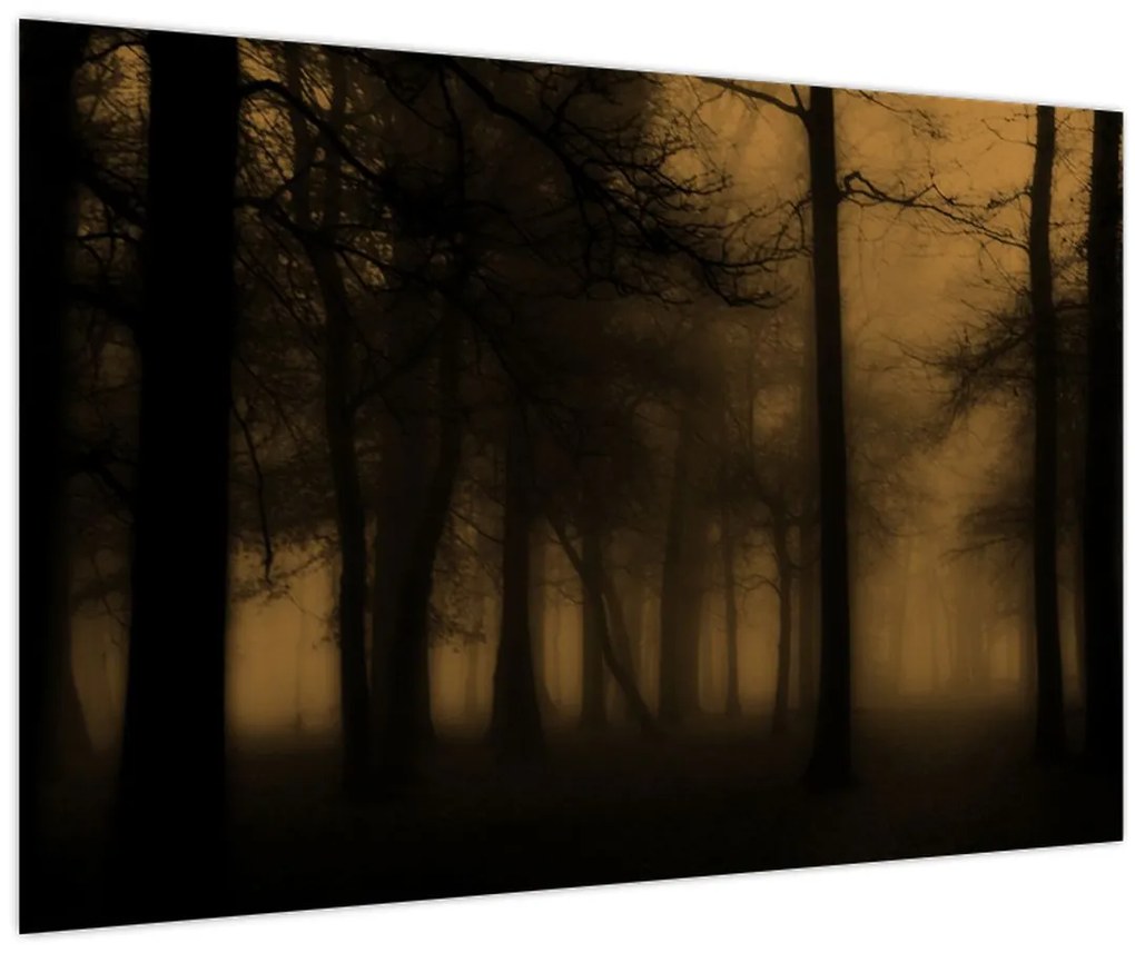 Obraz - Temný les (90x60 cm)