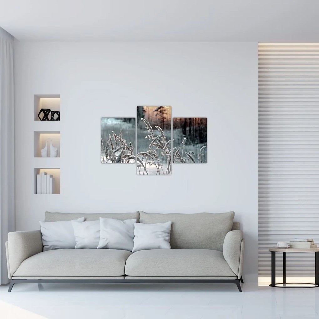 Obraz - Zamrznutá lúka (90x60 cm)