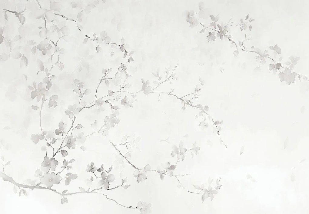 Fototapeta - Minimalistické kvety (147x102 cm)