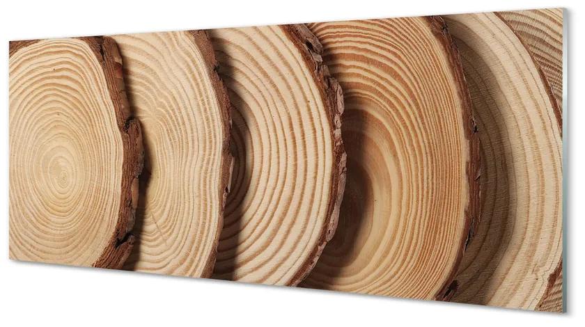 Obraz plexi Plátky obilia dreva 120x60 cm