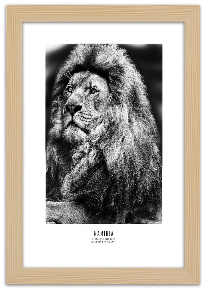 Gario Plagát Symbol Afriky Farba rámu: Bez rámu, Rozmery: 40 x 60 cm