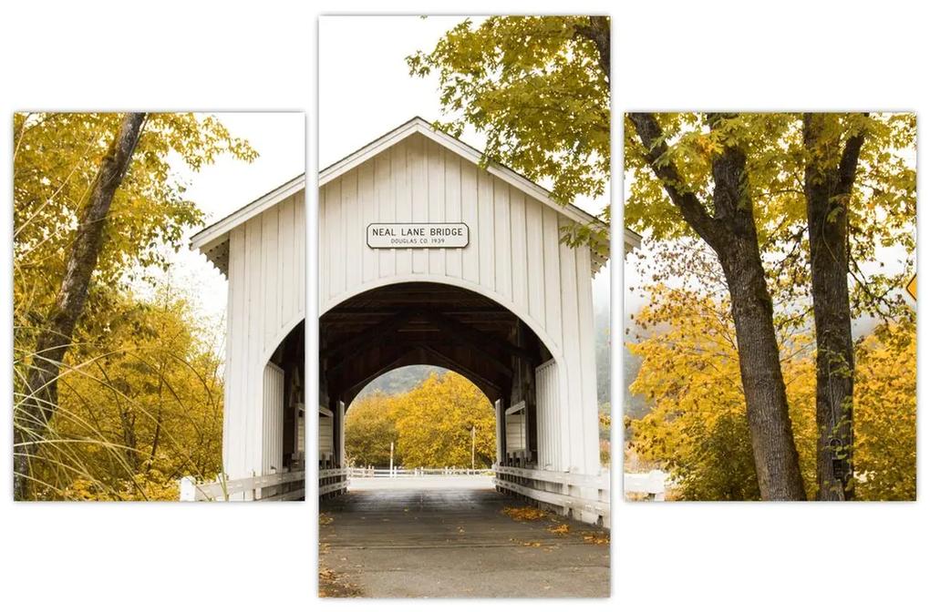 Obraz mosta v Oregone (90x60 cm)