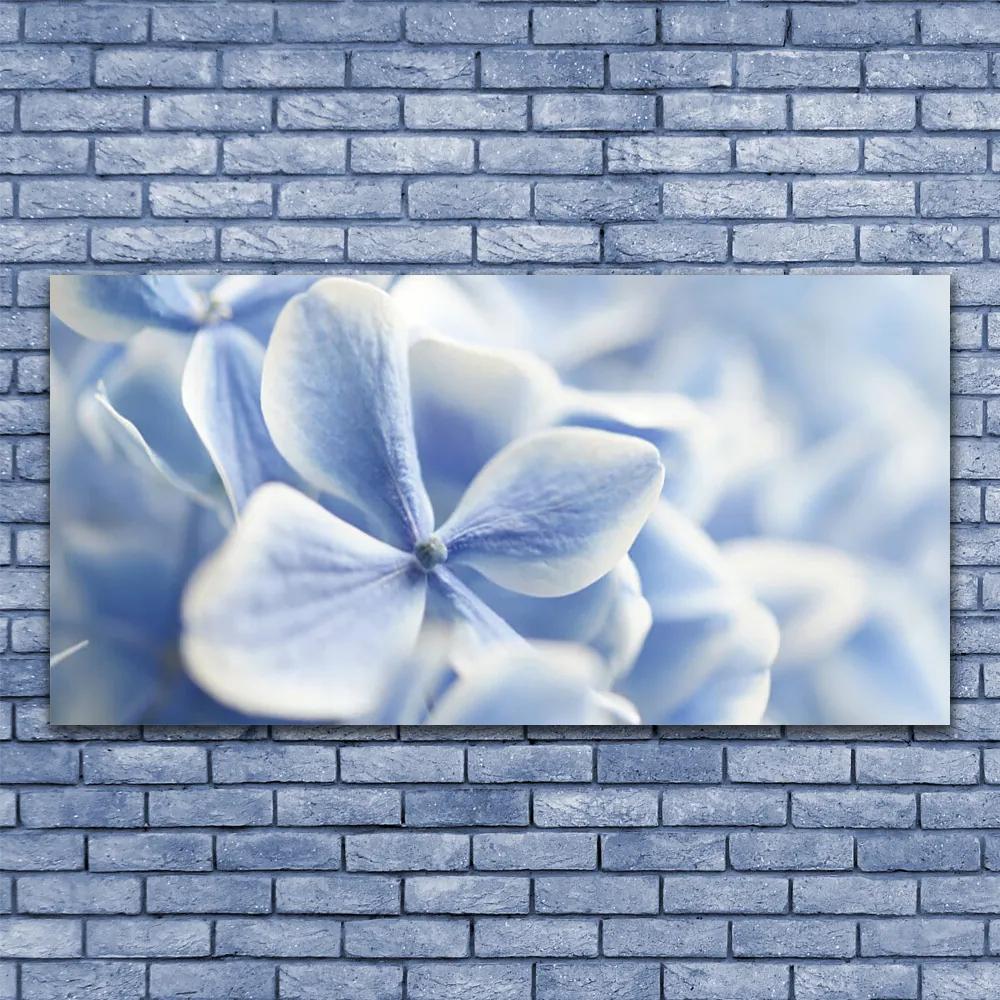 Obraz plexi Kvety plátky príroda 120x60 cm