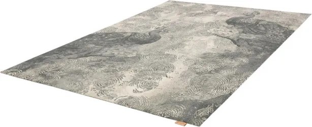 Koberec Agnella Regius Pavio popol