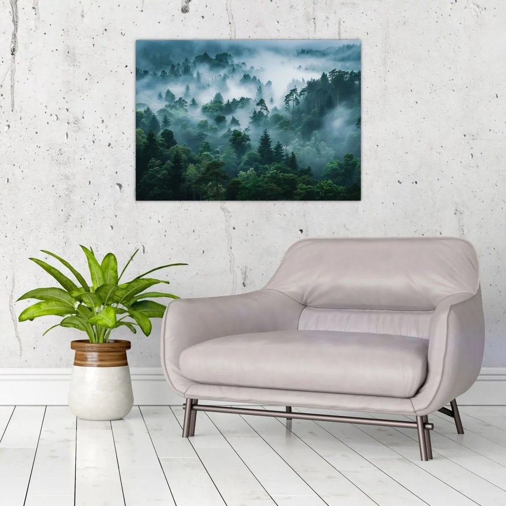 Obraz - Les v hmle (70x50 cm)